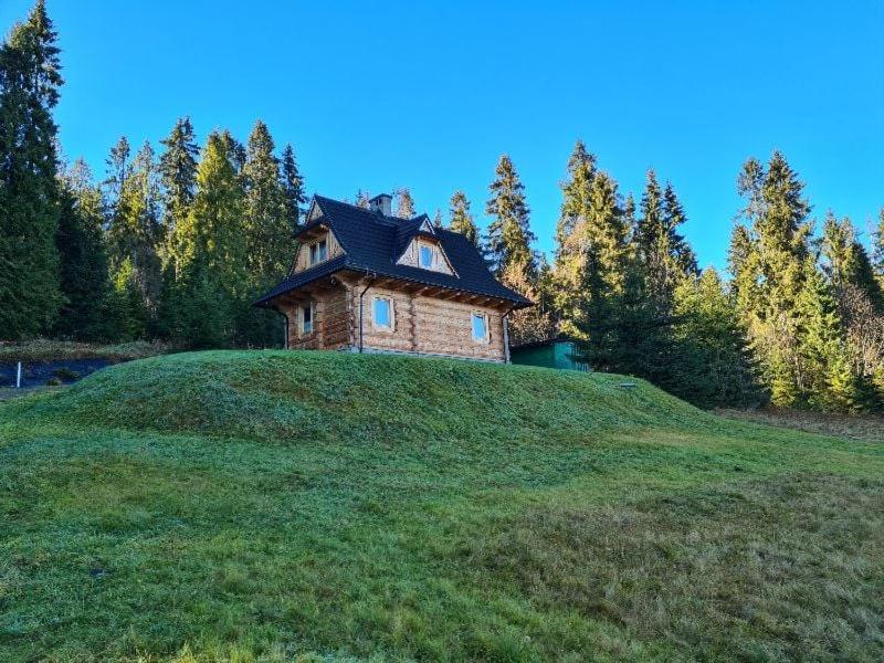 Willa Alpinka Bukowina Tatrzańska Zewnętrze zdjęcie